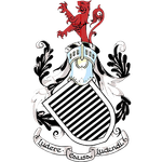 的领先优势 的领先优势