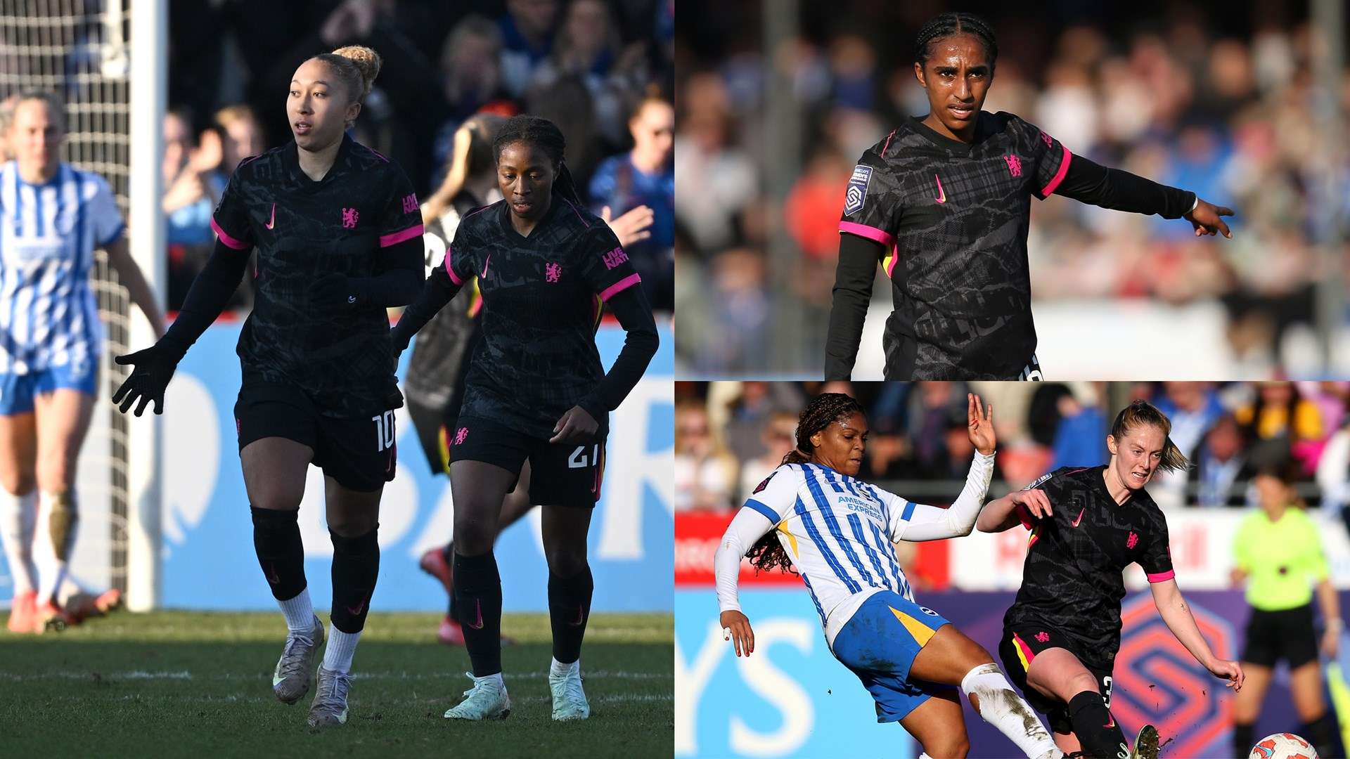 球世界中 球世界中