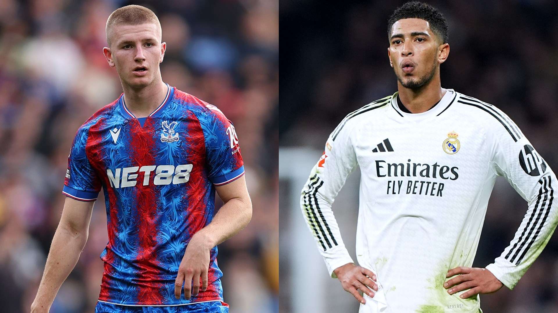 终处于主导 终处于主导