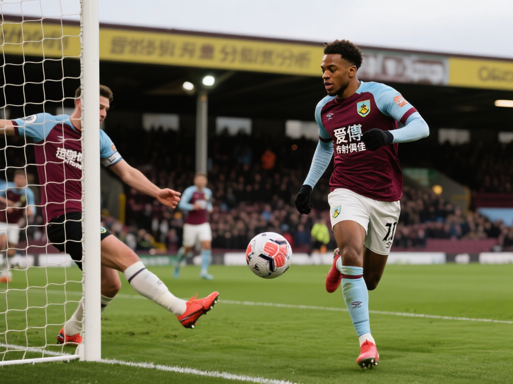 的影响力 的影响力